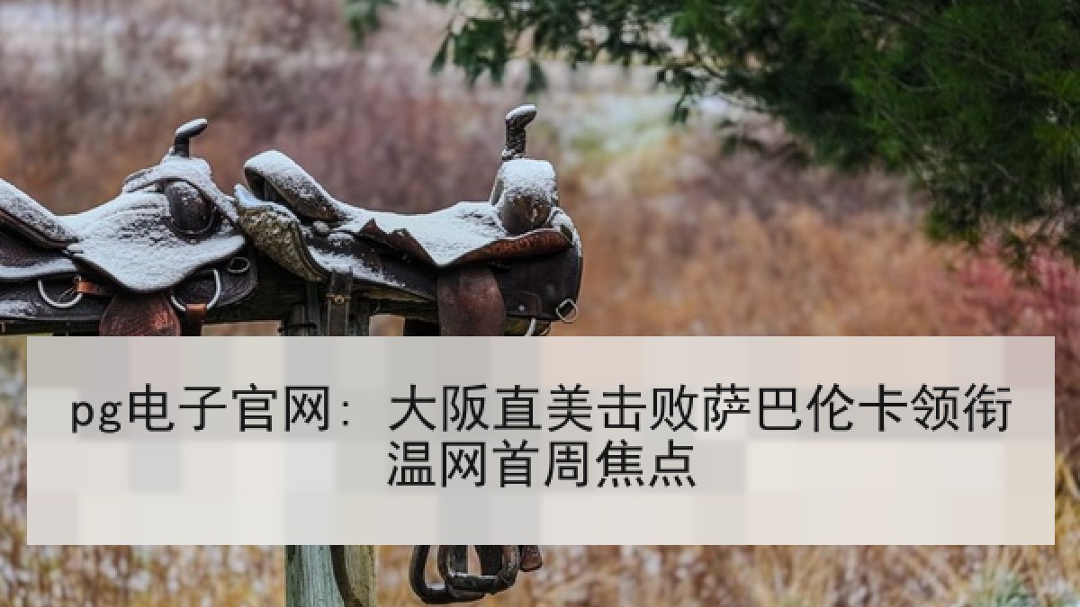 pg电子官网: 大阪直美击败萨巴伦卡领衔温网首周焦点