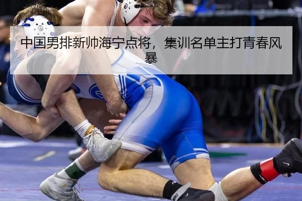 中国男排新帅海宁点将，集训名单主打青春风暴