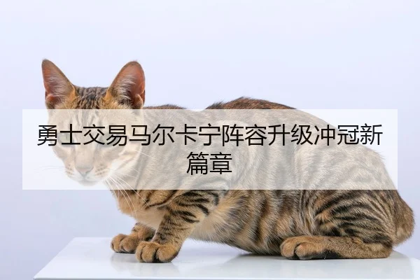 勇士交易马尔卡宁阵容升级冲冠新篇章