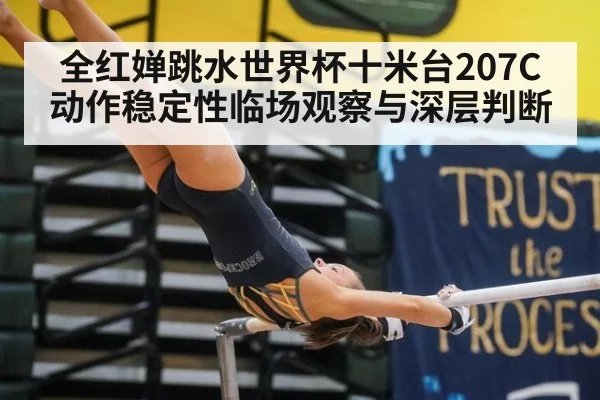 全红婵跳水世界杯十米台207C动作稳定性临场观察与深层判断