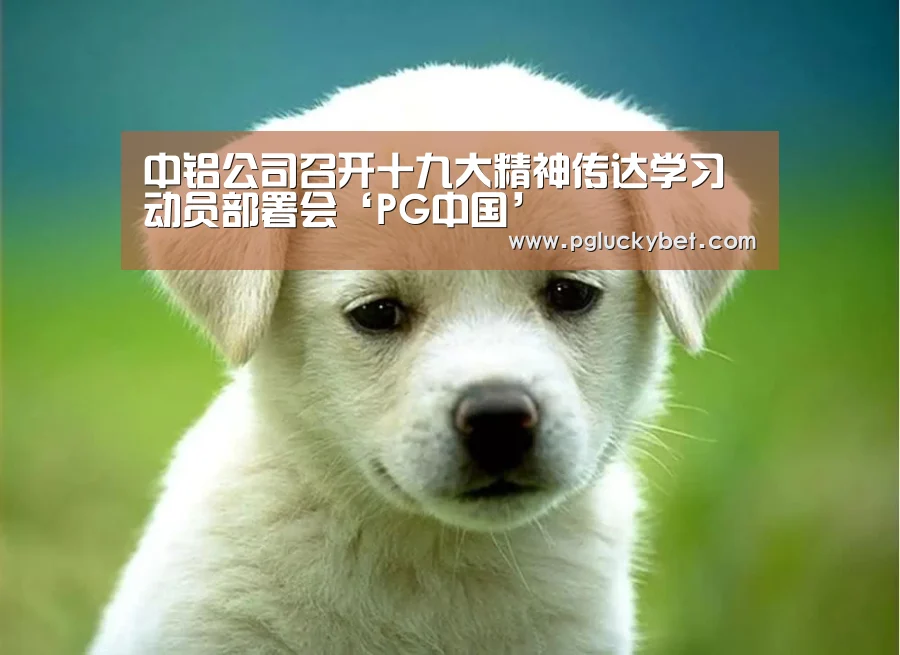 PG地址