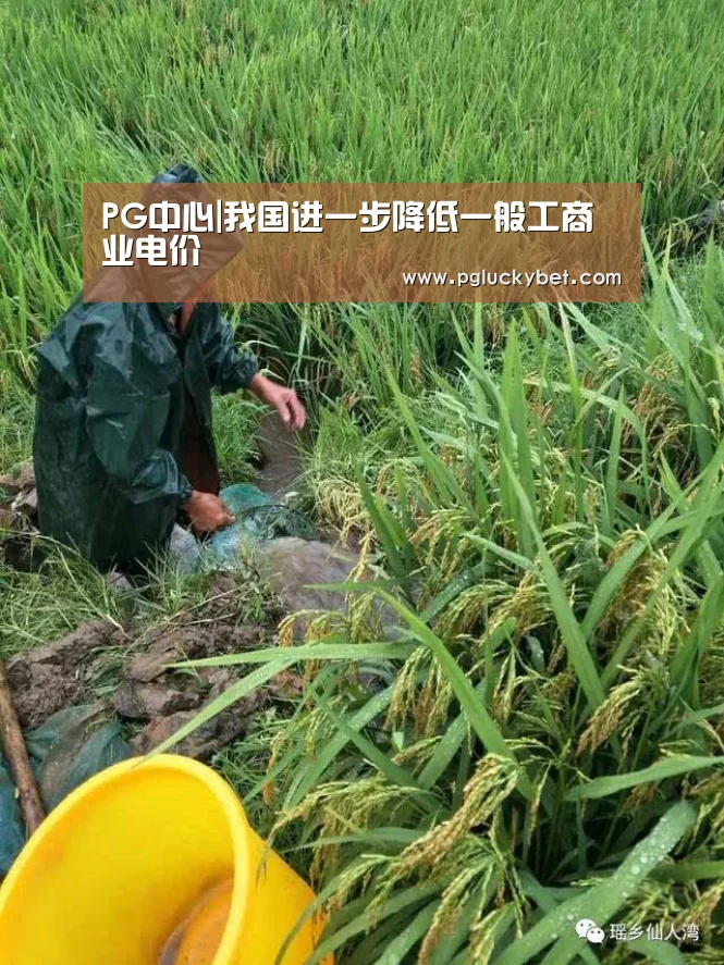 PG中国