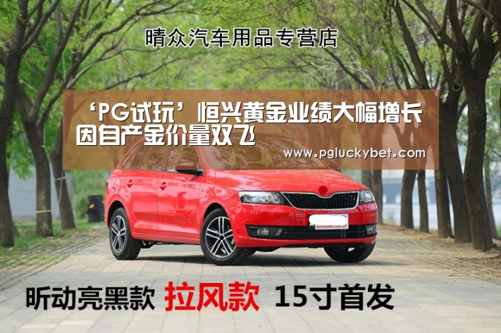 PG中国