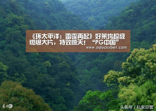 PG中国